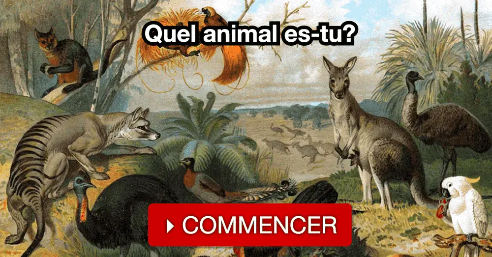 Quel animal mettre avec un âne ?